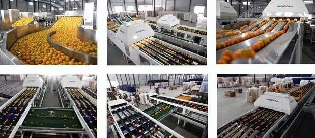 1624240791286161.jpg 1-(7).jpg