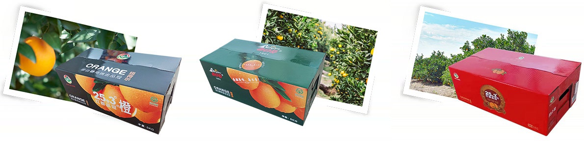 1627544353735843.jpg 1627522591719319.jpg